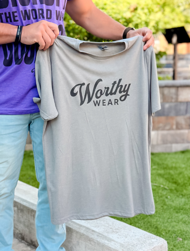 Worthy Disrupt Tee - Stone Grey