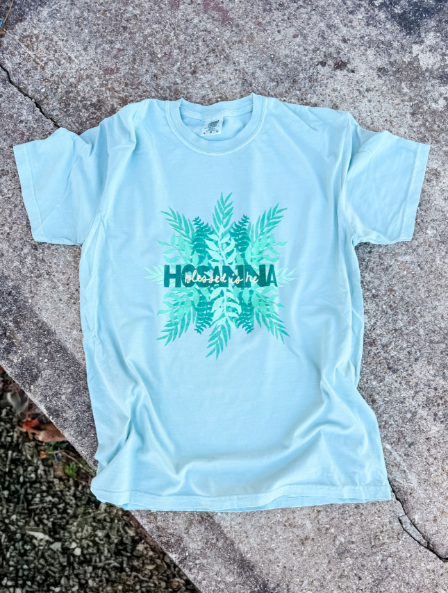 flat lay of Hosanna Tee
