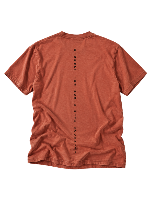 Worthy Disrupt Tee - Heather Redwood